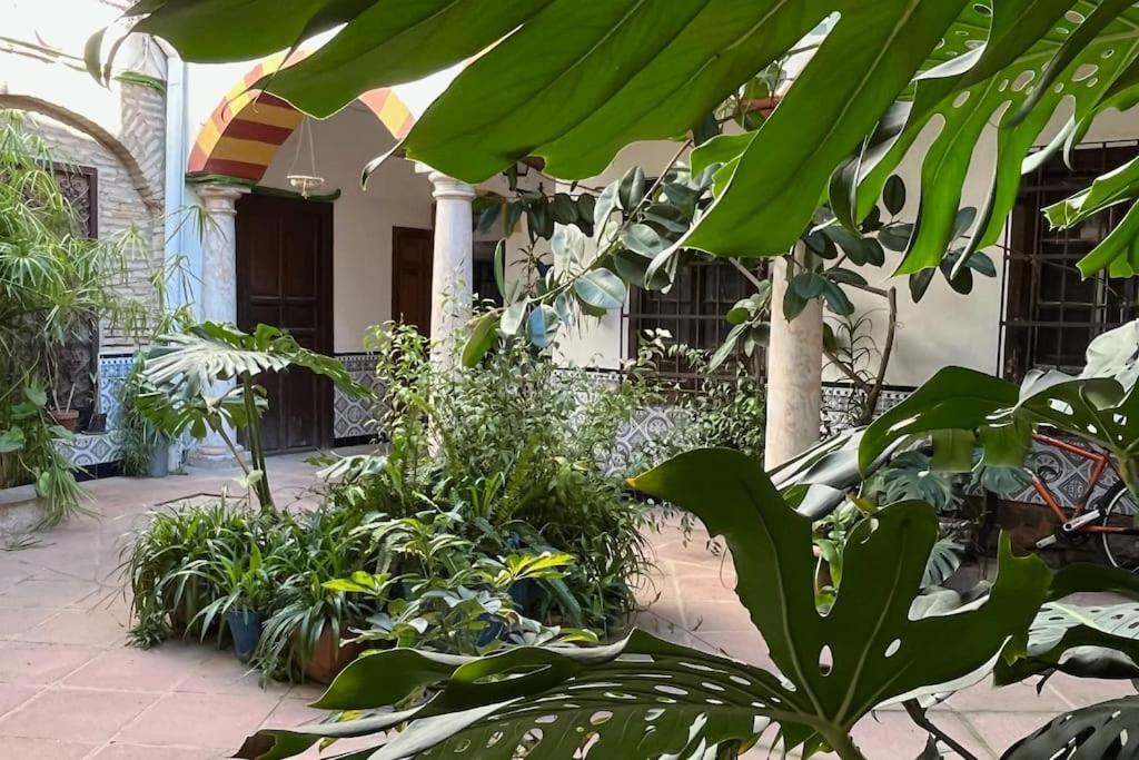 Ferienwohnung Patio De La Corredera Córdoba Exterior foto